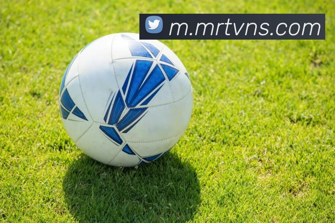 互动解说服务